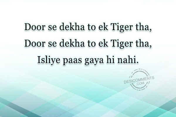 door-se-dekha-to-ek-tiger-tha