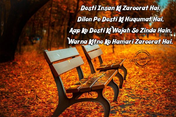 dosti-insan-ki-zaroorat-hai