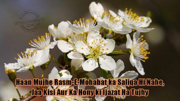 haan-mujhe-rasm-e-mohabat-ka-saliqa