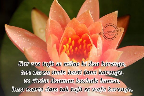 har-roz-tujh-se-milne-ki-dua-karenge