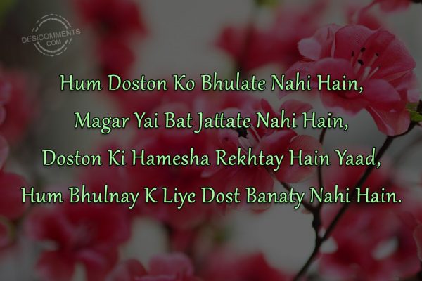 hum-doston-ko-bhulate-nahi-hain