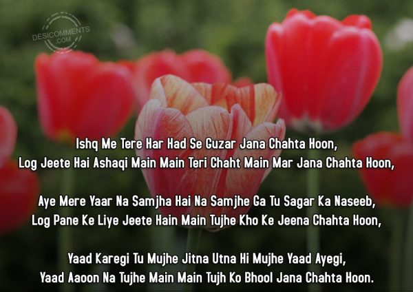 ishq-me-tere-har-had-se-guzar