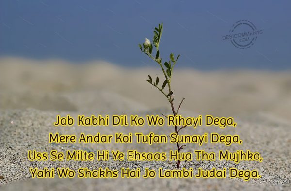 jab-kabhi-dil-ko-wo-rihayi-dega