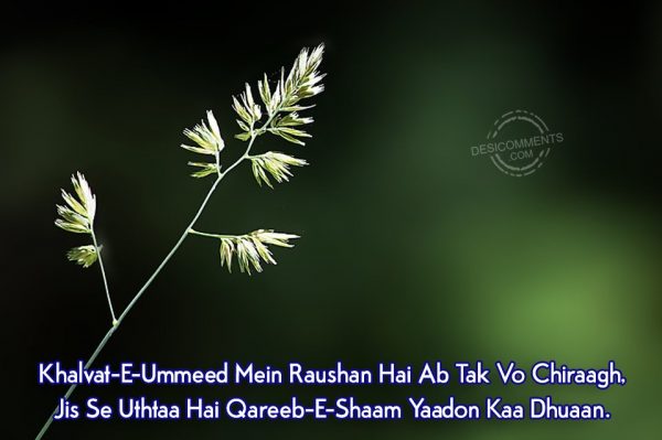 khalvat-e-ummeed-mein-raushan-hai