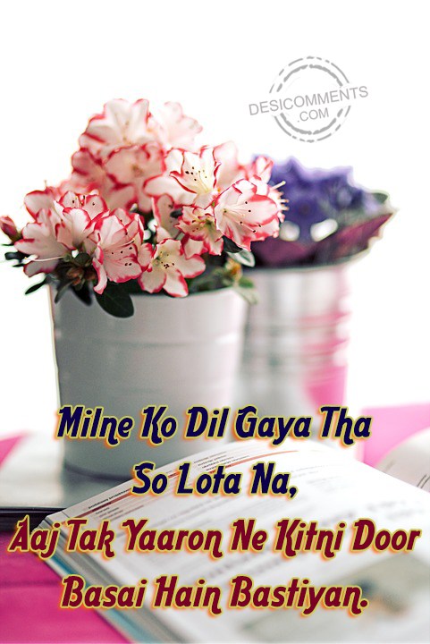 milne-ko-dil-gaya-tha-so-lota-na