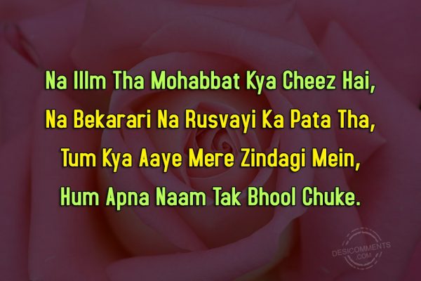 na-illm-tha-mohabbat-kya-cheez-hai