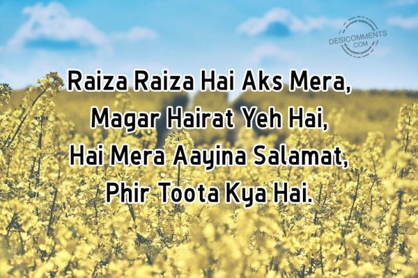 raiza-raiza-hai-aks-mera