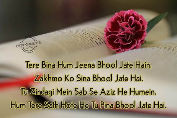 tere-bina-hum-jeena-bhool-jate-hain