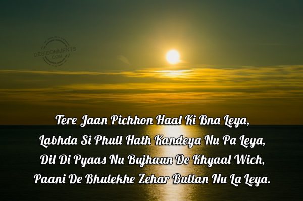 tere-jaan-pichhon-haal-ki-bna-leya