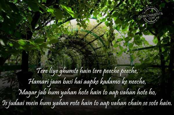 tere-liye-ghumte-hain