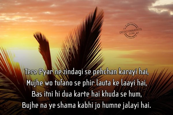 tere-pyar-ne-zindagi-se-pehchan-karayi-hai