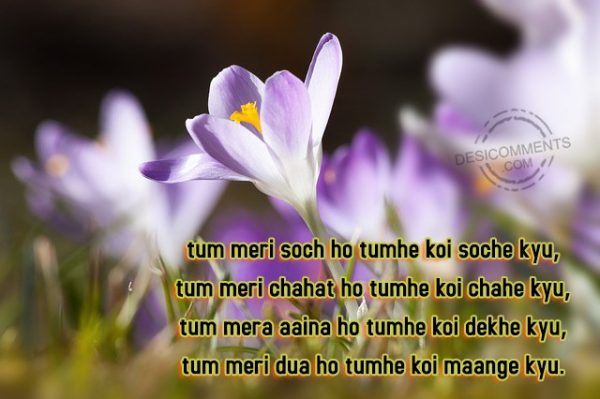 tum-meri-soch-ho-tumhe-koi-soche-kyu