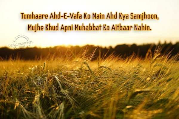 tumhaare-ahd-e-vafa-ko-main