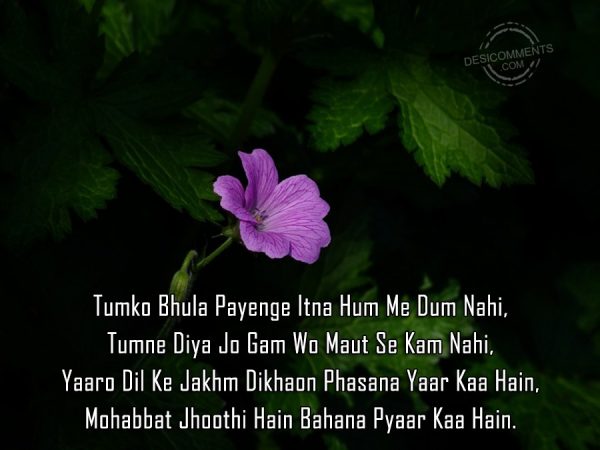 tumko-bhula-payenge-itna-hum-me