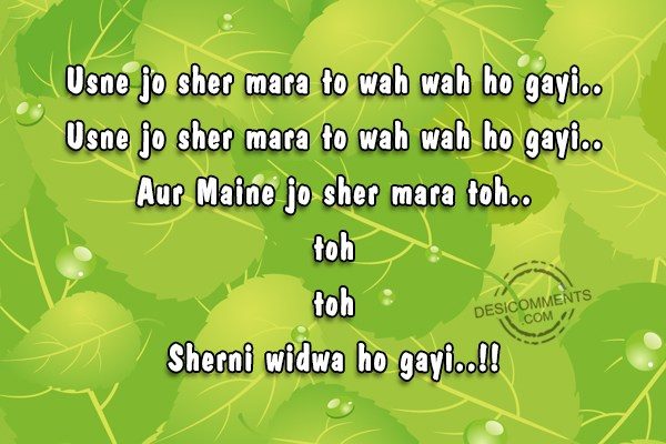 usne-jo-sher-mara-to-wah-wah-ho-gayi