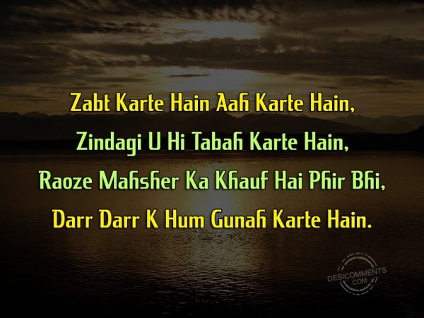 zabt-karte-hain-aah-karte-hain