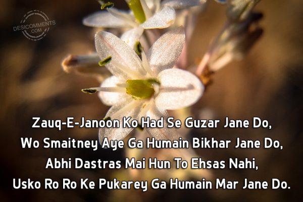 zauq-e-janoon-ko-had-se-guzar-jane-do