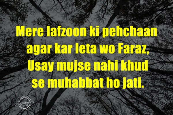 Mere Lafzoon Ki Pehchaan Agar Kar Leta