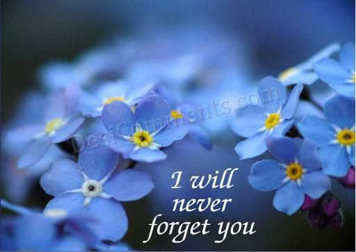 I will never forget you - DesiComments.com