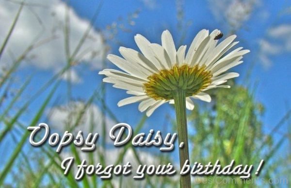 Ooops Daisy I Forgot Your Birthday