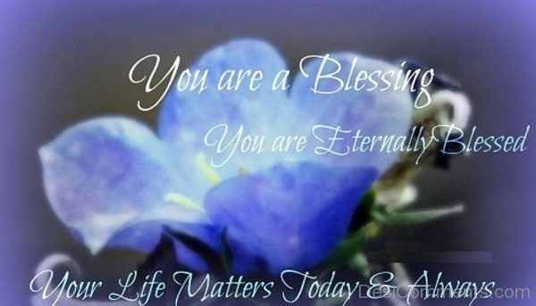 You Are A Blessing Quote-DC55