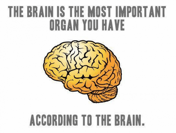 According To The Brain