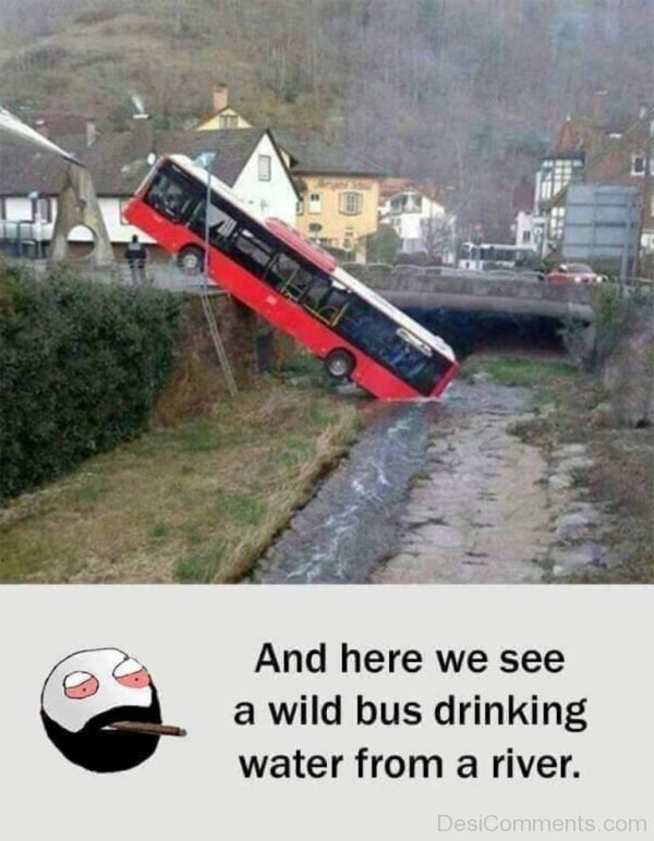 And Here We See A Wild Bus Drinking