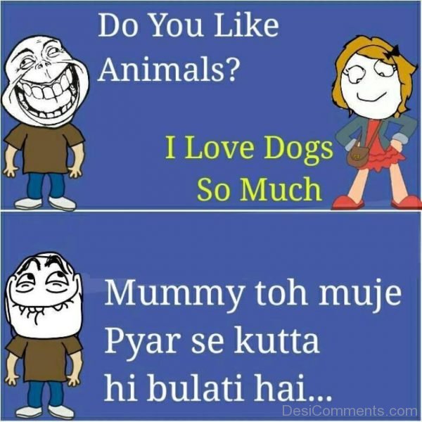 Do You Like Animals