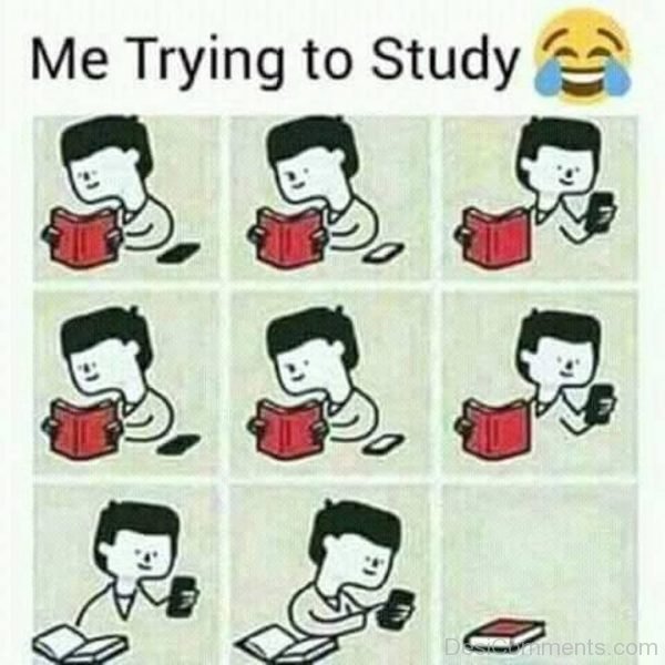 Me Trying To Study