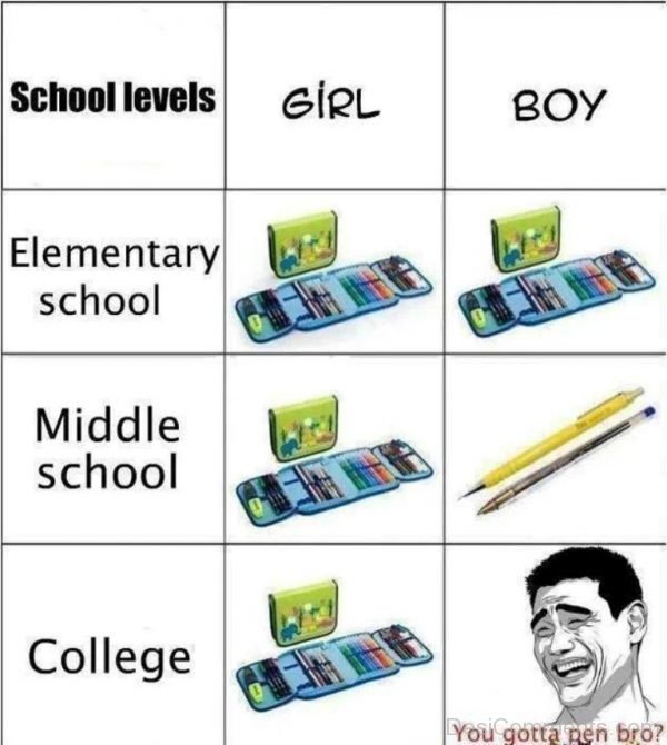 School Levels