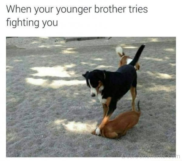 When Your Younger Brother