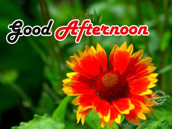 Good Afternoon - DesiComments.com