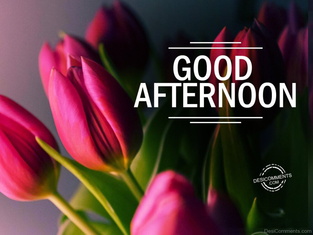 Good Afternoon - DesiComments.com