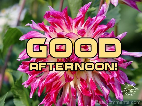 Good Afternoon 4
