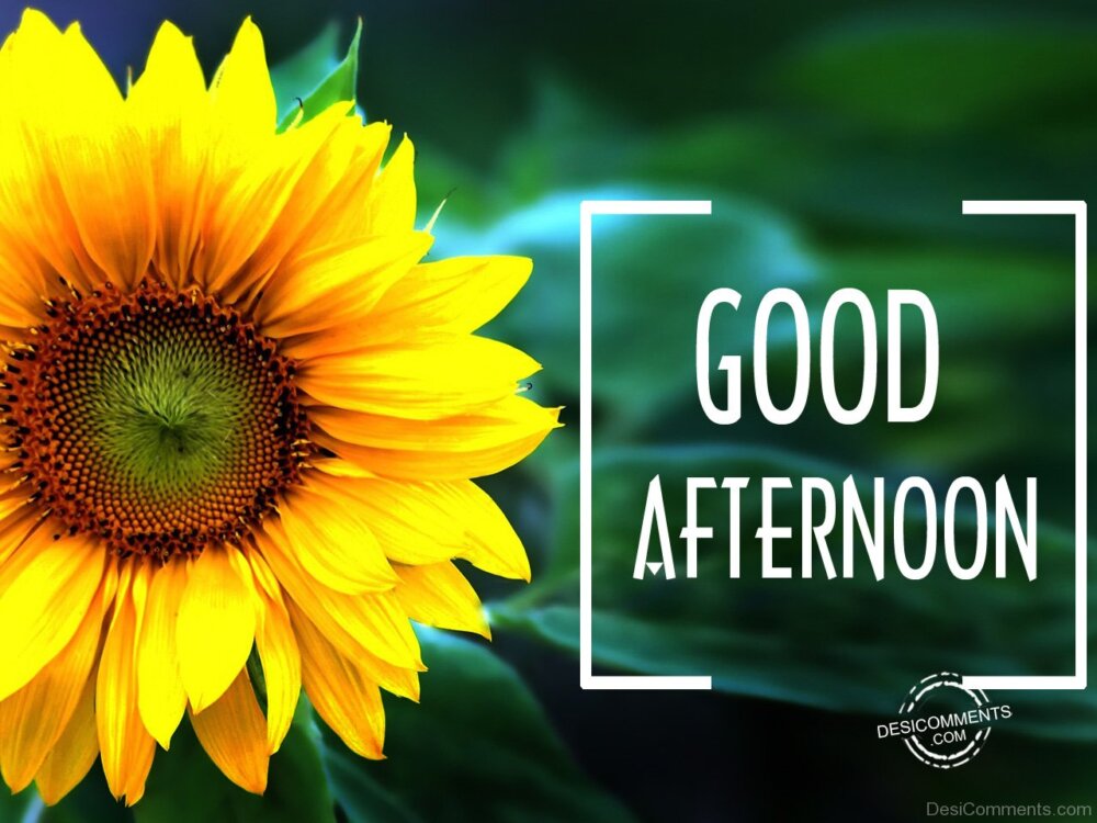 Good Afternoon - DesiComments.com
