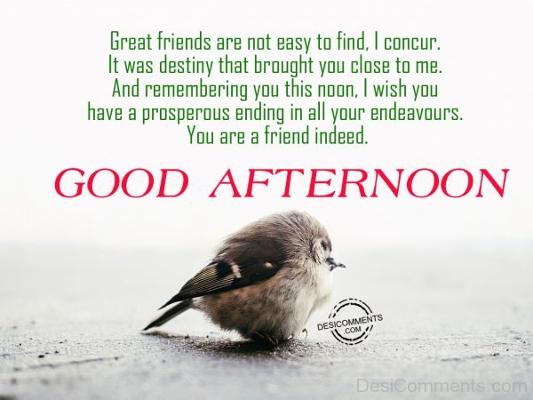 Good Afternoon – Great Friends