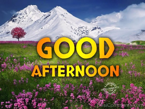 Good Afternoon – Have A Bless Day