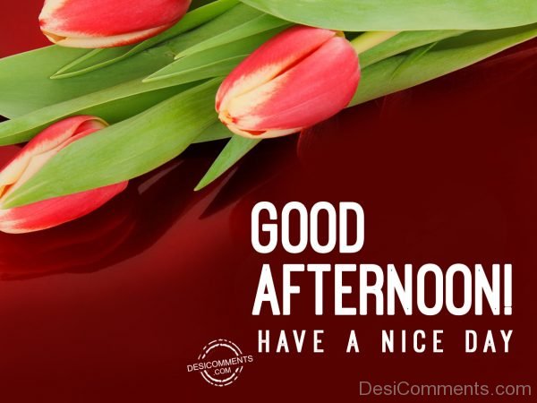 Good Afternoon – Have A Nice Day