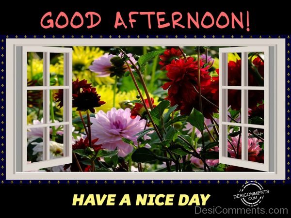 Good Afternoon - Have A Nice Day 01