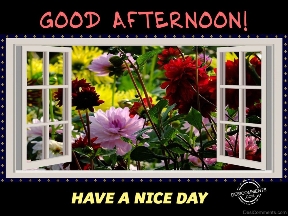 Good Afternoon – Have A Nice Day - DesiComments.com