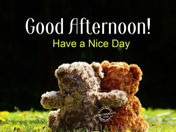 Good Afternoon - Have A Nice Day 0125