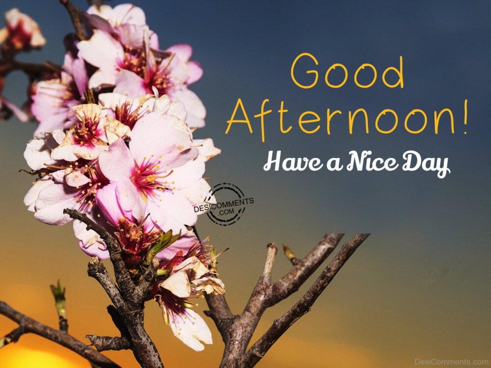 Good Afternoon Have A Nice Day - DesiComments.com