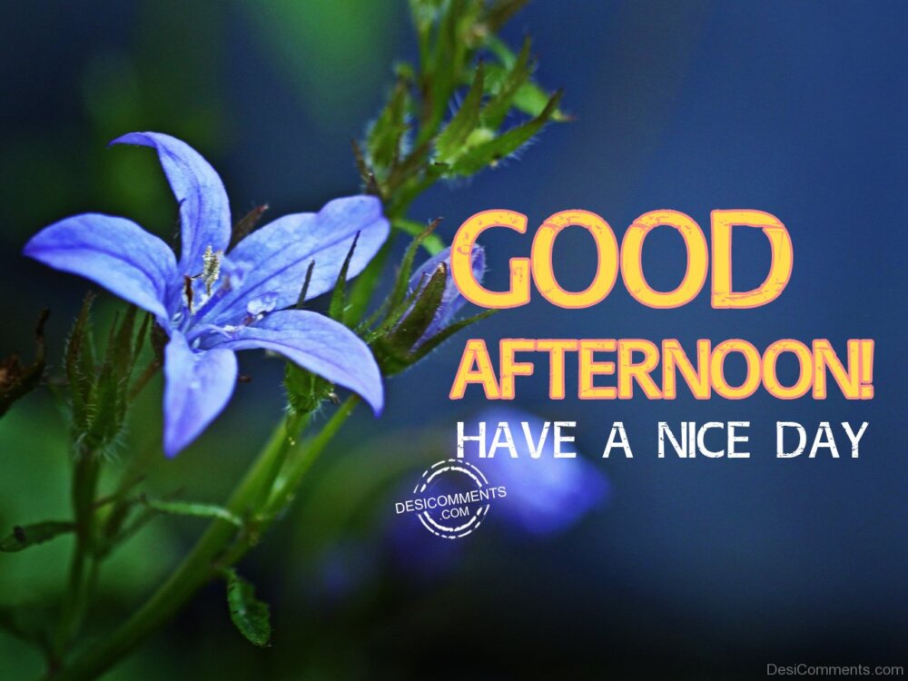 Good Afternoon Have A Nice Day - DesiComments.com
