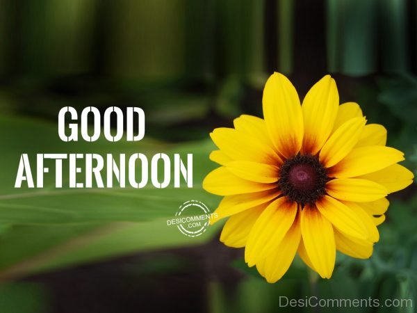 Good Afternoon – Image