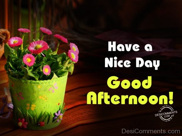 Have A Nice Day – Good Afternoon
