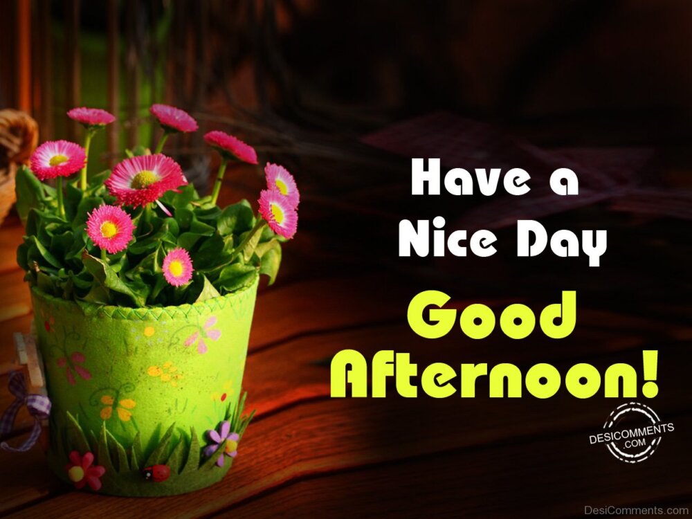 Have A Nice Day – Good Afternoon - DesiComments.com