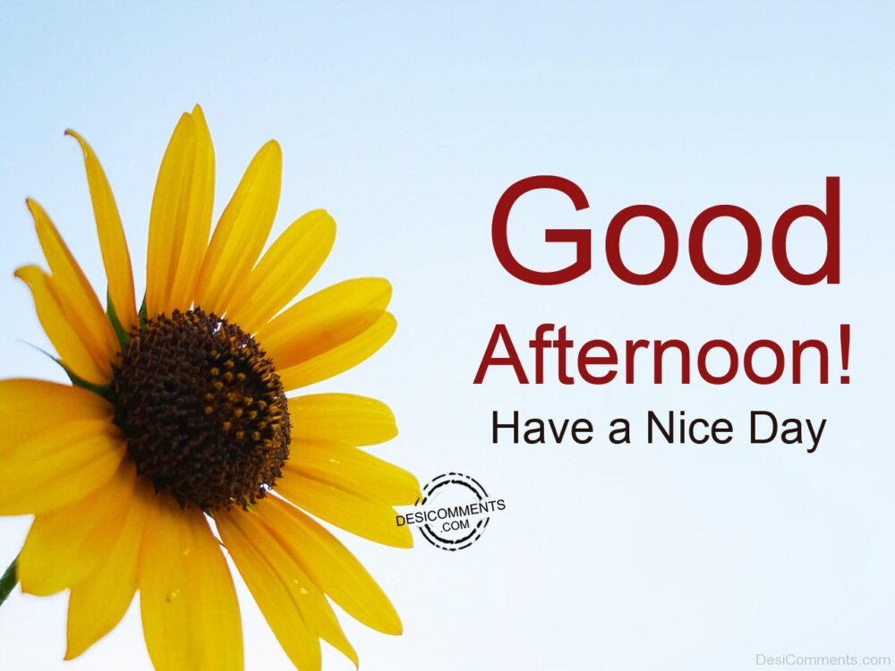 Have A Nice Day – Good Afternoon - DesiComments.com