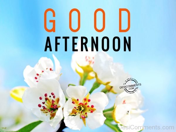 Have A Nice Day – Good Afternoon