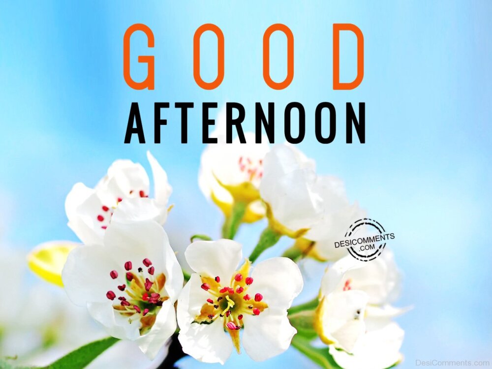 Have A Nice Day – Good Afternoon - DesiComments.com