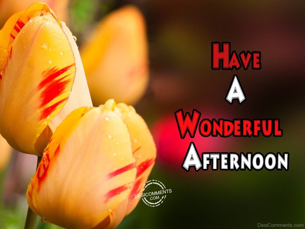 Have A Wonderful Afternoon - DesiComments.com